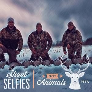 Meet your Posher, Jake